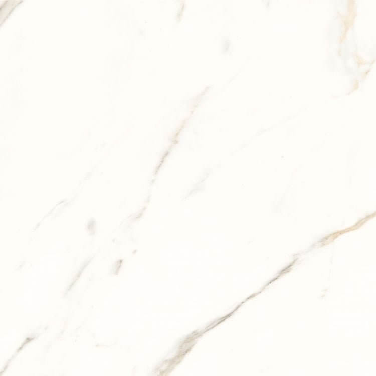 Trilogy Calacatta White Soft 24 x 24