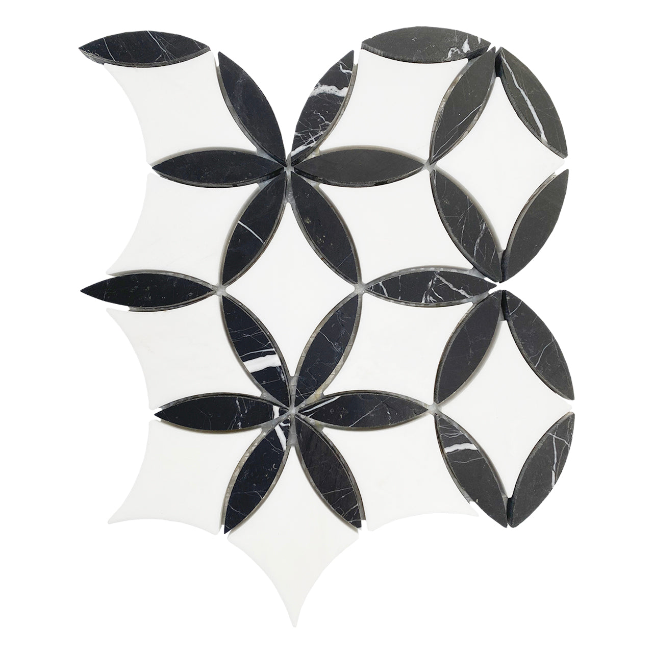 Bianco Dolomite Marble with Nero Marquina Leaf La Fleur Waterjet Mosaic Tile Polished